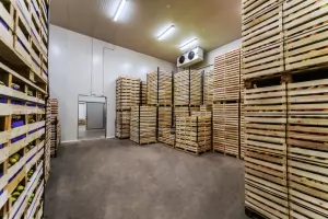 Jual cold storage kapasitas 100 ton